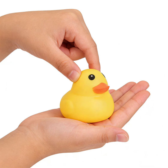 Duck Squishy